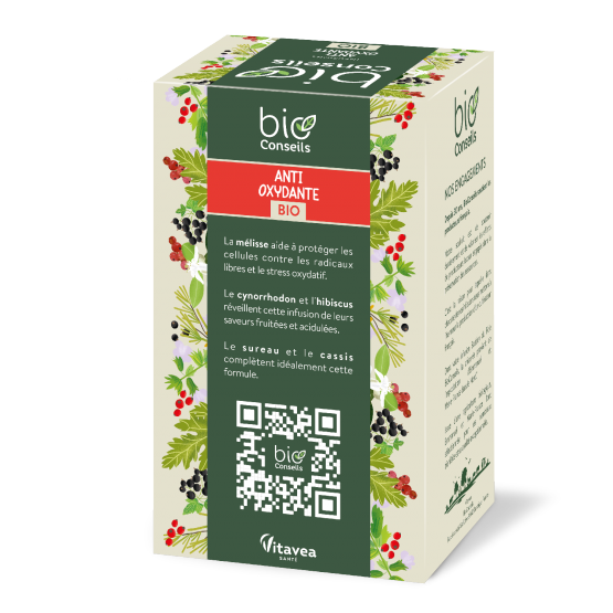 Infusion Antioxydante Bio - bioConseils